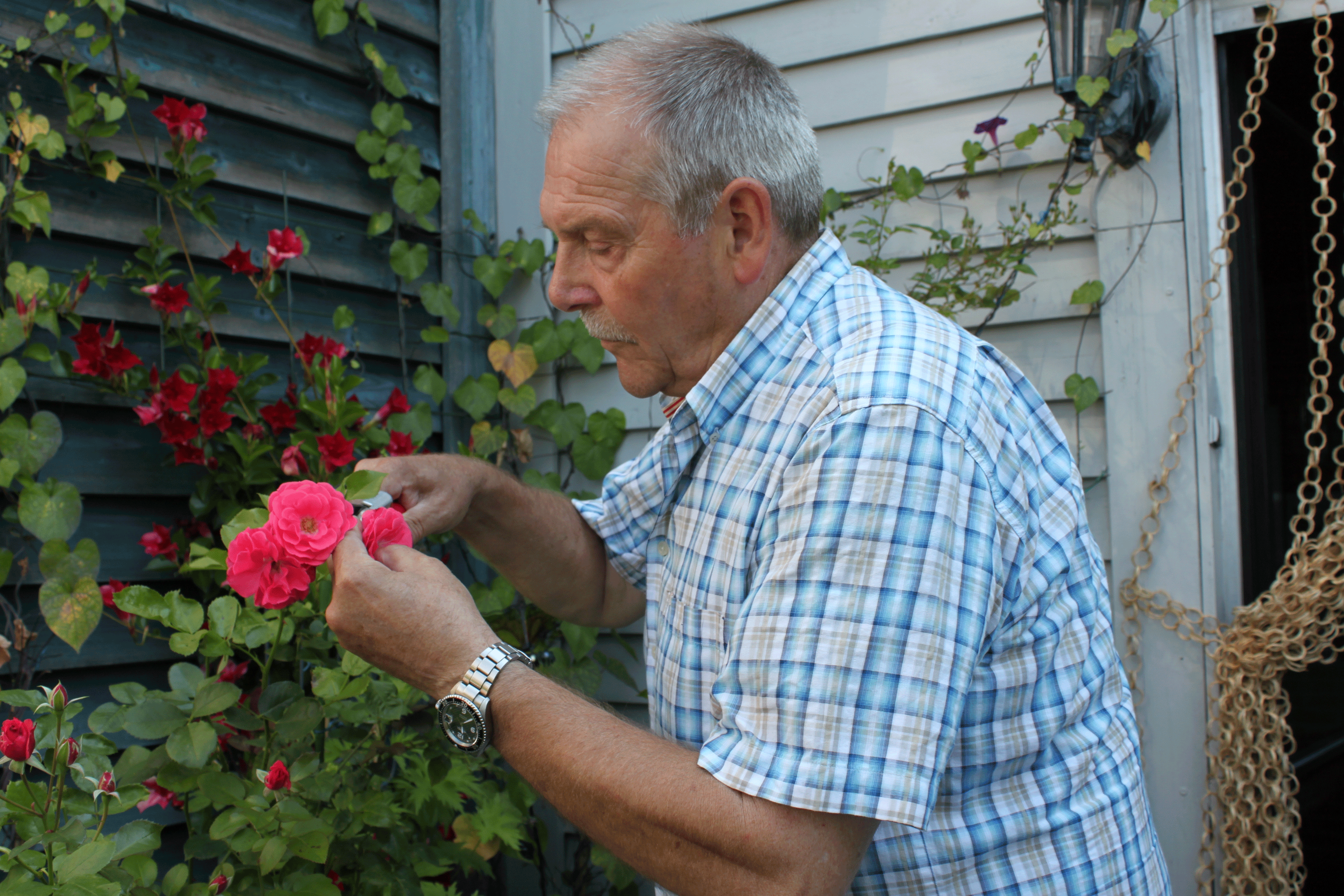 Neues-Bild-Franz-sollte-mit-auf-die-Startseite!-